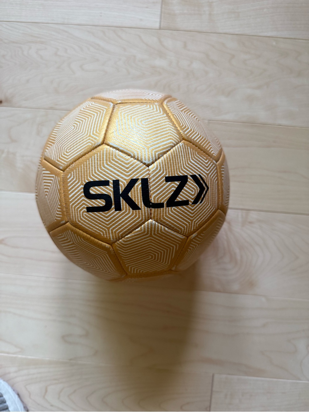SKLZ Gold Training Soccer Ball